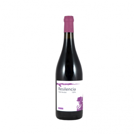 Gonzalo Beltrán Resilencia Tinto Petit Verdot